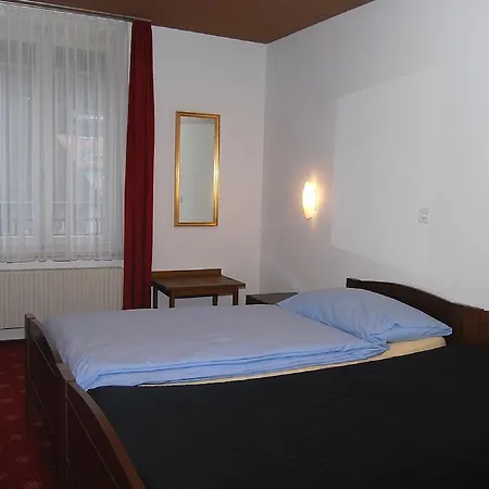 Hotel Restaurant Adler 2*